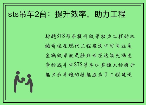 sts吊车2台：提升效率，助力工程